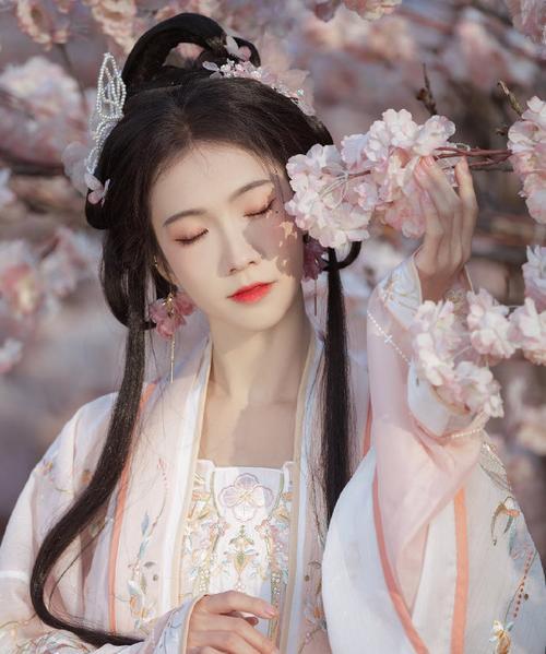 舍身为梦回稻香攻略（用热血奋斗，点亮生命之光）