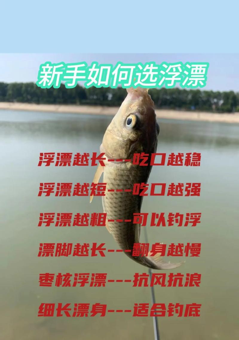 《一起刷刷刷，享受钓鱼乐趣》（掌握钓鱼技巧，抓到大鱼不是梦）