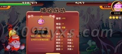 怒魂购买攻略（从零开始，成为技能大师的关键步骤）