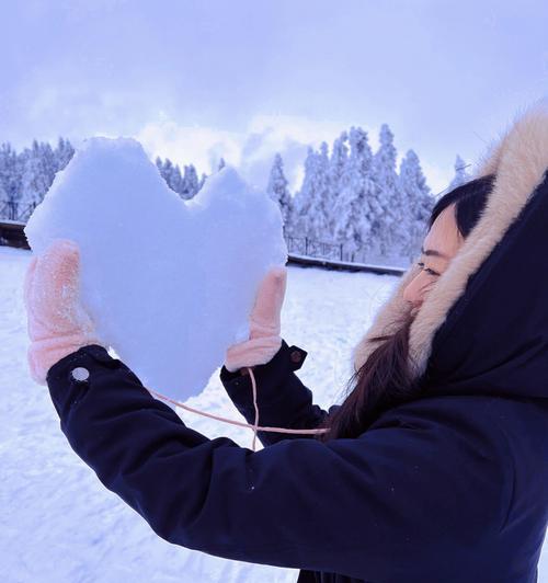 雪城壁虎出装攻略（掌握壁虎攻略，无敌战场盛宴！）