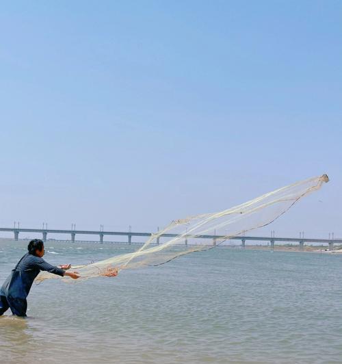 赶海大王手游攻略（助你轻松冲级、高效捕鱼、快速赚钱，打造航海霸业！）