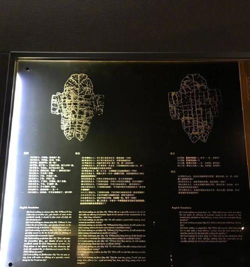 以龟甲出装铭文攻略（打造坚不可摧的防御体系，让角色无往不胜）